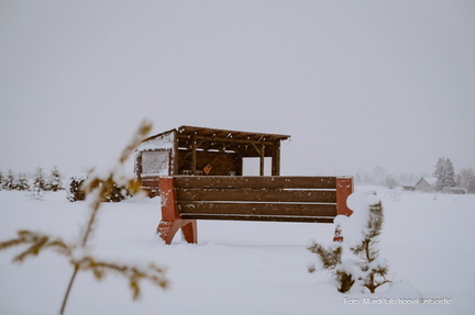 AbroMusicpink7.17-scaled